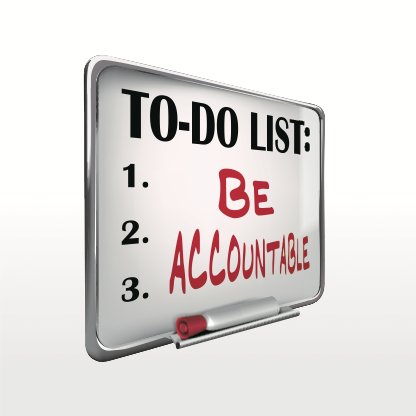 Chartered Accountant – The ‘Accountable’ service provider